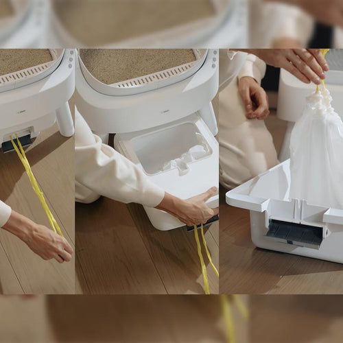 Autoscooper Open-Top Odorless Cat Litter Box