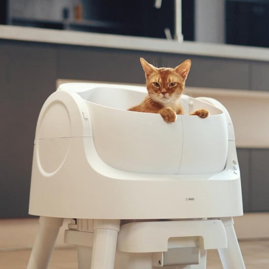 Autoscooper Open-Top Odorless Cat Litter Box