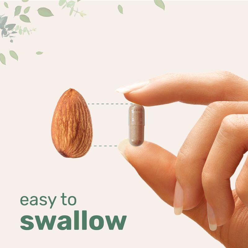 Total Liver Support in One Step